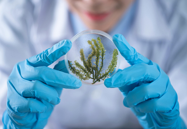 欢迎访问我们的官方网站